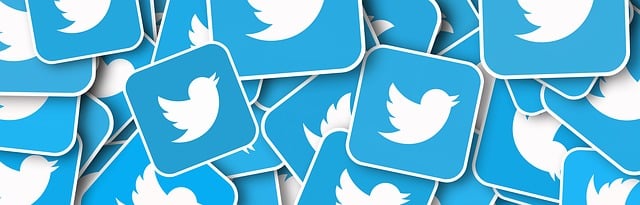 Innovative Strategies to Amplify Your Presence on Twitter