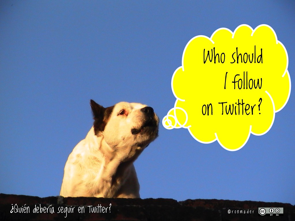 Who should I follow on Twitter?